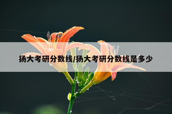 扬大考研分数线/扬大考研分数线是多少
