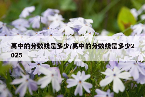 高中的分数线是多少/高中的分数线是多少2025