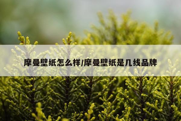 摩曼壁纸怎么样/摩曼壁纸是几线品牌