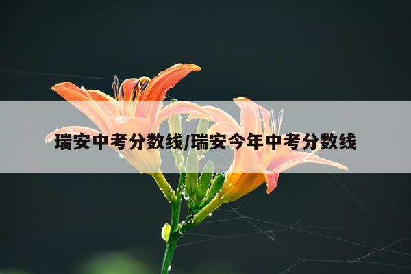 瑞安中考分数线/瑞安今年中考分数线