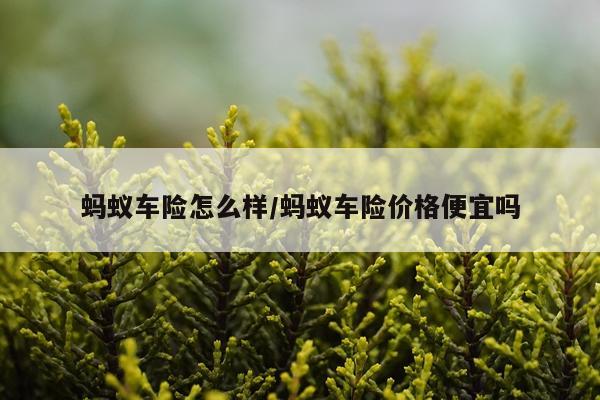 蚂蚁车险怎么样/蚂蚁车险价格便宜吗