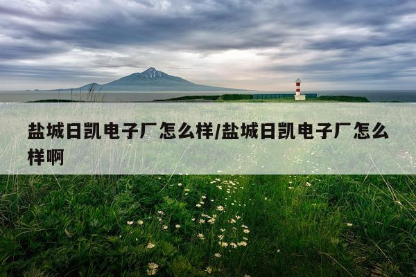 盐城日凯电子厂怎么样/盐城日凯电子厂怎么样啊