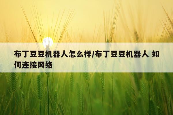 布丁豆豆机器人怎么样/布丁豆豆机器人 如何连接网络