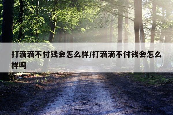 打滴滴不付钱会怎么样/打滴滴不付钱会怎么样吗