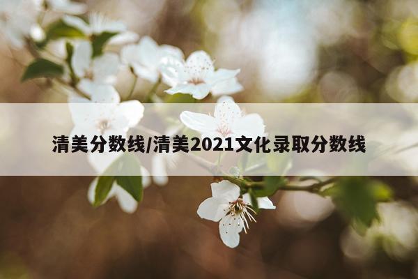 清美分数线/清美2021文化录取分数线
