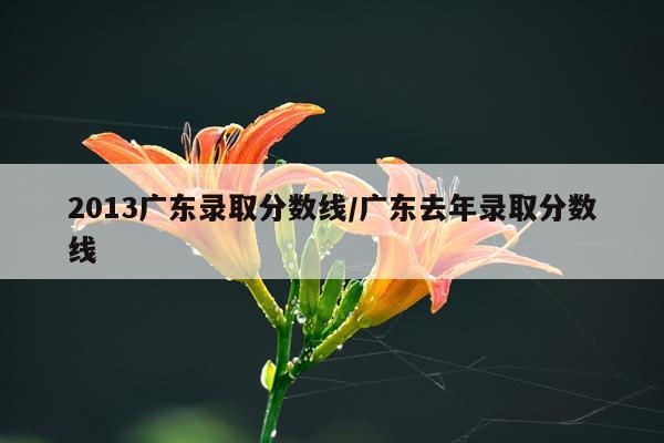 2013广东录取分数线/广东去年录取分数线