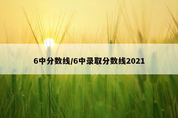 6中分数线/6中录取分数线2021