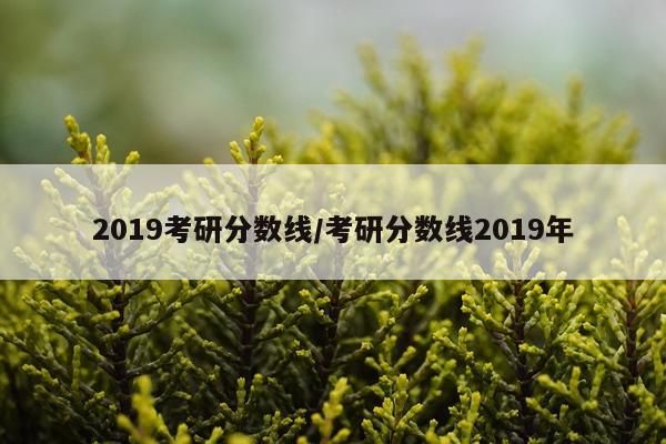 2019考研分数线/考研分数线2019年
