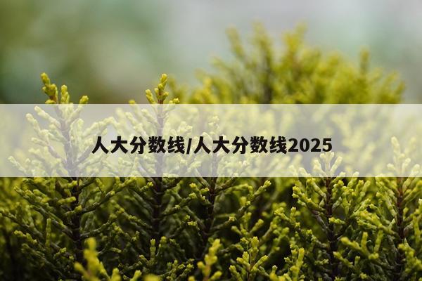 人大分数线/人大分数线2025