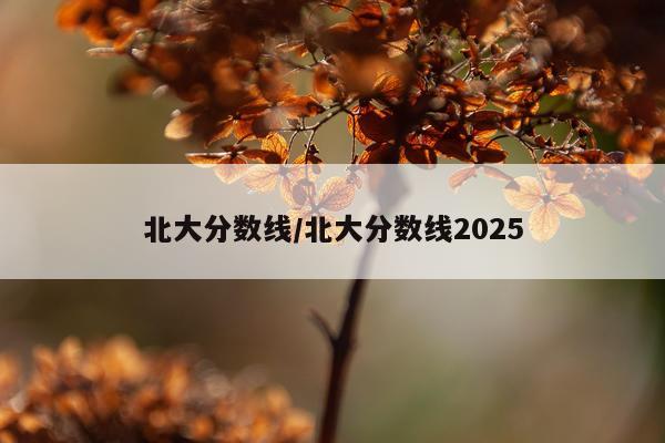 北大分数线/北大分数线2025