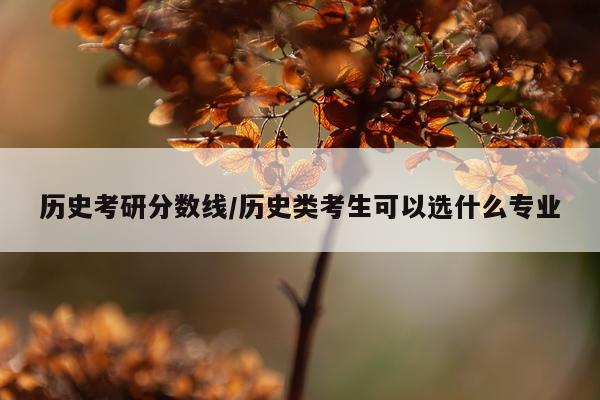 历史考研分数线/历史类考生可以选什么专业