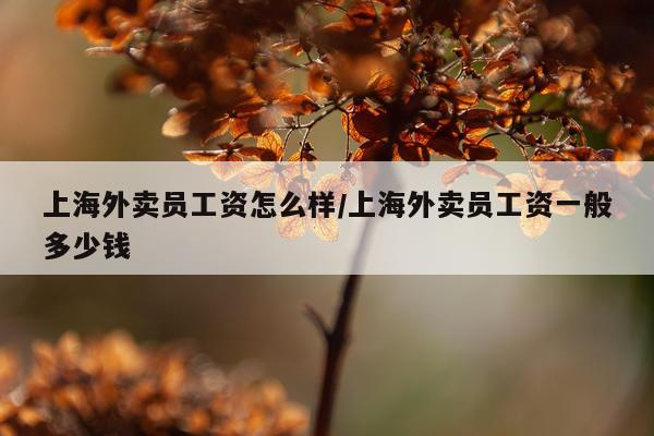 上海外卖员工资怎么样/上海外卖员工资一般多少钱