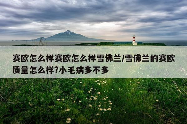 赛欧怎么样赛欧怎么样雪佛兰/雪佛兰的赛欧质量怎么样?小毛病多不多