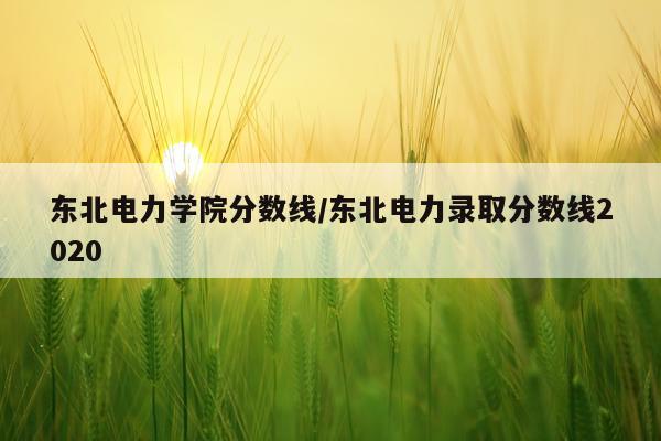 东北电力学院分数线/东北电力录取分数线2020