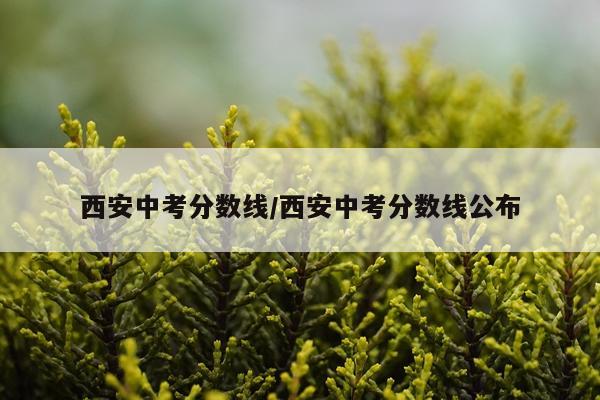 西安中考分数线/西安中考分数线公布