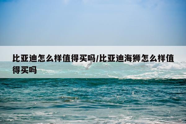 比亚迪怎么样值得买吗/比亚迪海狮怎么样值得买吗