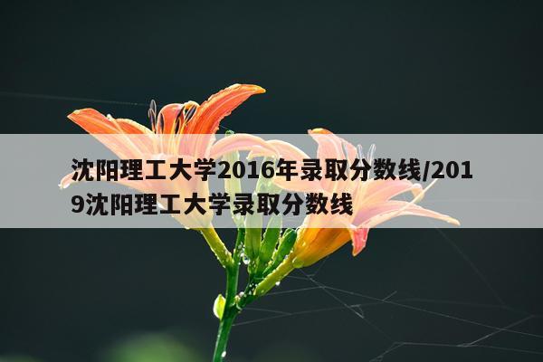 沈阳理工大学2016年录取分数线/2019沈阳理工大学录取分数线