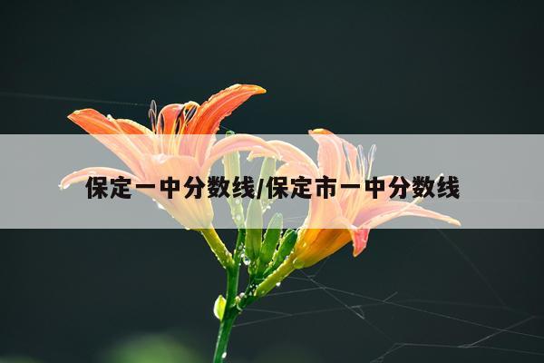 保定一中分数线/保定市一中分数线