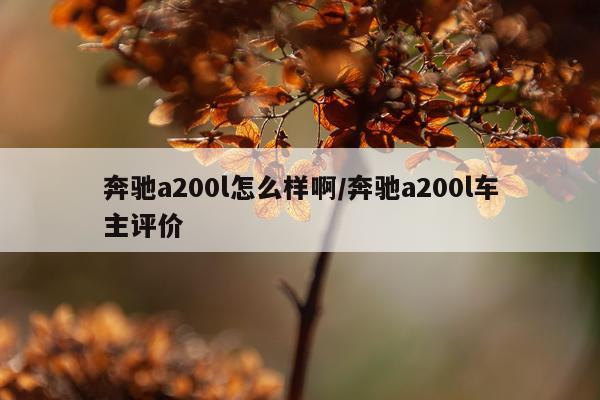 奔驰a200l怎么样啊/奔驰a200l车主评价