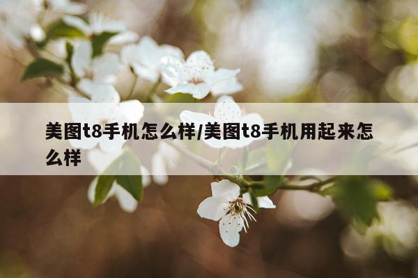 美图t8手机怎么样/美图t8手机用起来怎么样