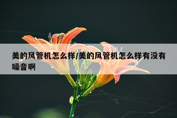 美的风管机怎么样/美的风管机怎么样有没有噪音啊