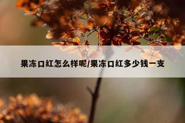 果冻口红怎么样呢/果冻口红多少钱一支
