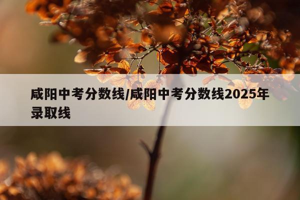 咸阳中考分数线/咸阳中考分数线2025年录取线
