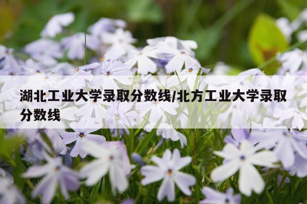 湖北工业大学录取分数线/北方工业大学录取分数线