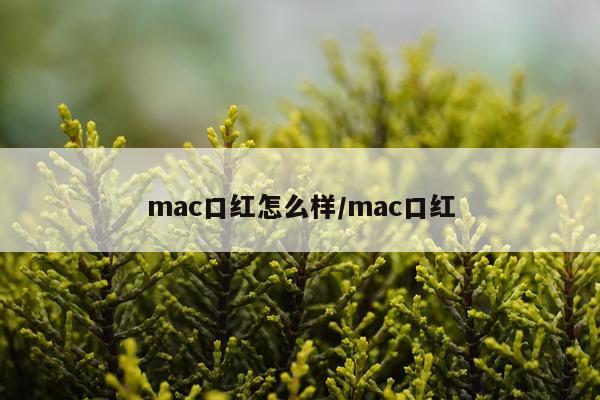 mac口红怎么样/mac口红