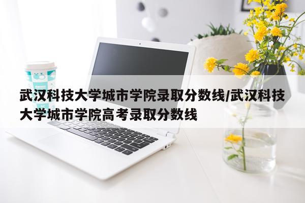 武汉科技大学城市学院录取分数线/武汉科技大学城市学院高考录取分数线