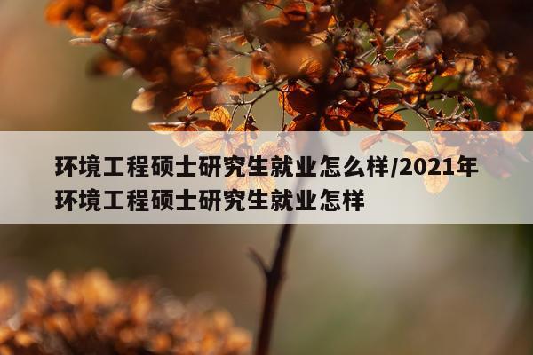 环境工程硕士研究生就业怎么样/2021年环境工程硕士研究生就业怎样