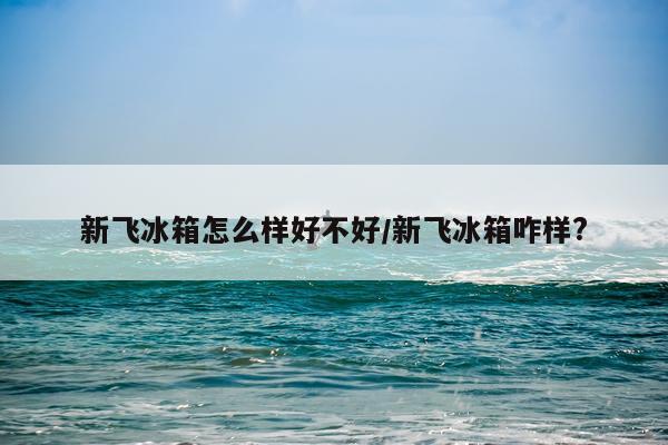 新飞冰箱怎么样好不好/新飞冰箱咋样?