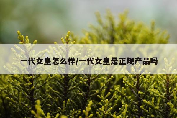 一代女皇怎么样/一代女皇是正规产品吗