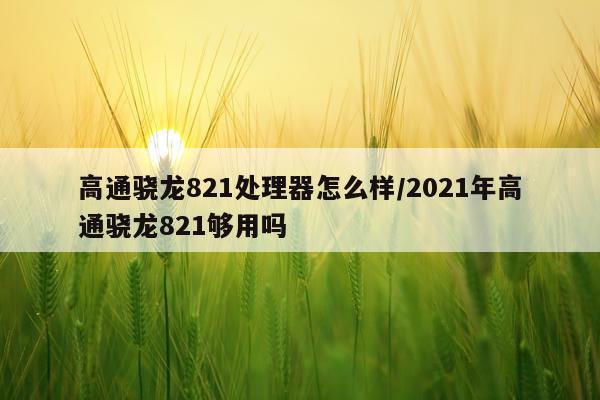 高通骁龙821处理器怎么样/2021年高通骁龙821够用吗