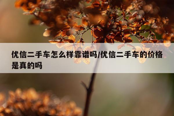 优信二手车怎么样靠谱吗/优信二手车的价格是真的吗