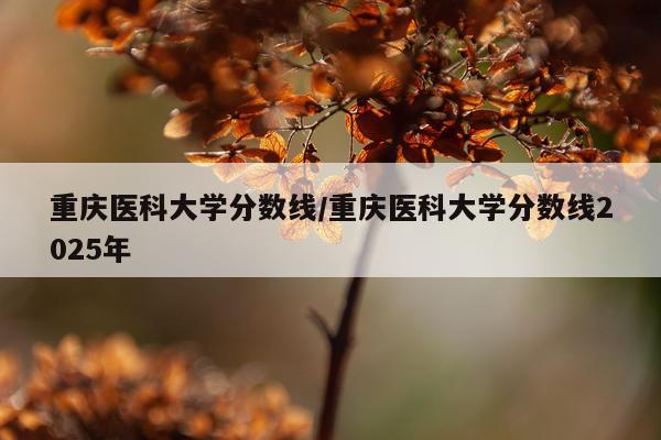 重庆医科大学分数线/重庆医科大学分数线2025年