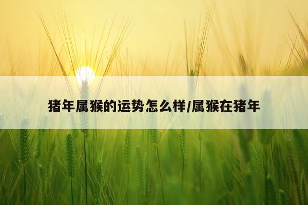 猪年属猴的运势怎么样/属猴在猪年