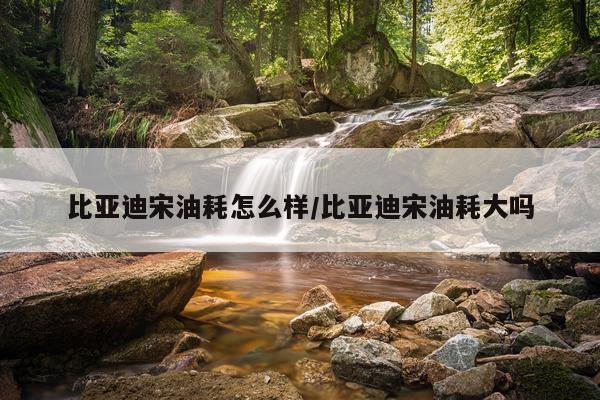 比亚迪宋油耗怎么样/比亚迪宋油耗大吗