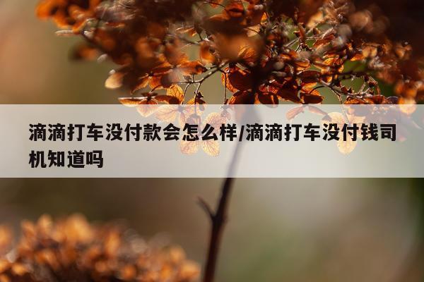 滴滴打车没付款会怎么样/滴滴打车没付钱司机知道吗