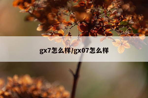 gx7怎么样/gx07怎么样