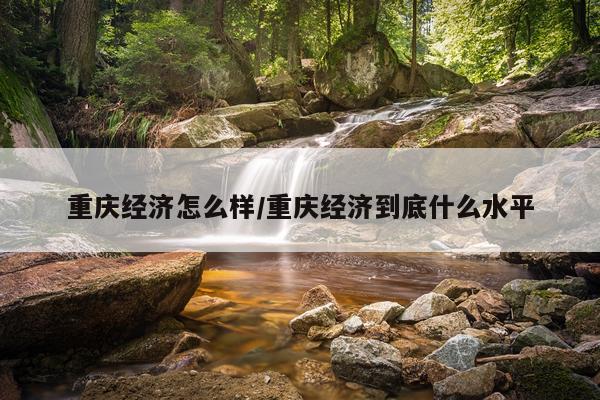 重庆经济怎么样/重庆经济到底什么水平