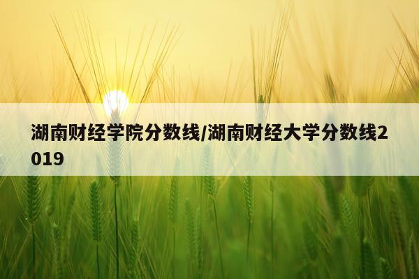 湖南财经学院分数线/湖南财经大学分数线2019