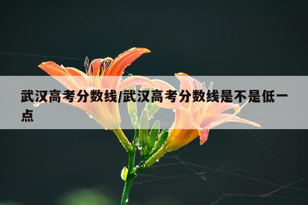 武汉高考分数线/武汉高考分数线是不是低一点