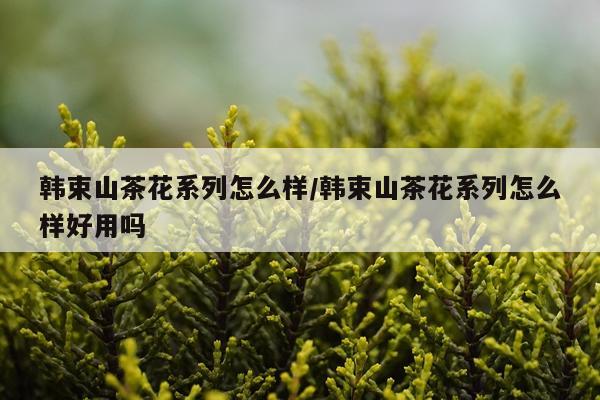 韩束山茶花系列怎么样/韩束山茶花系列怎么样好用吗