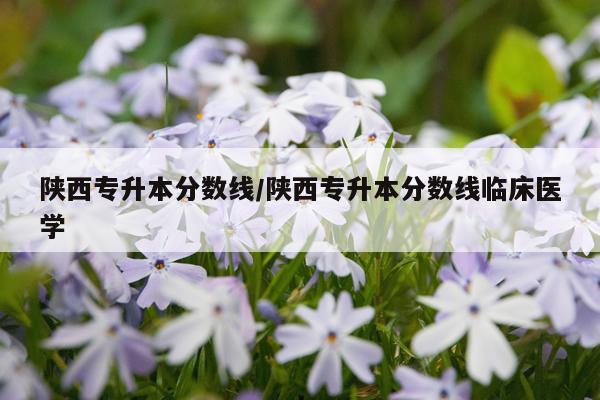 陕西专升本分数线/陕西专升本分数线临床医学