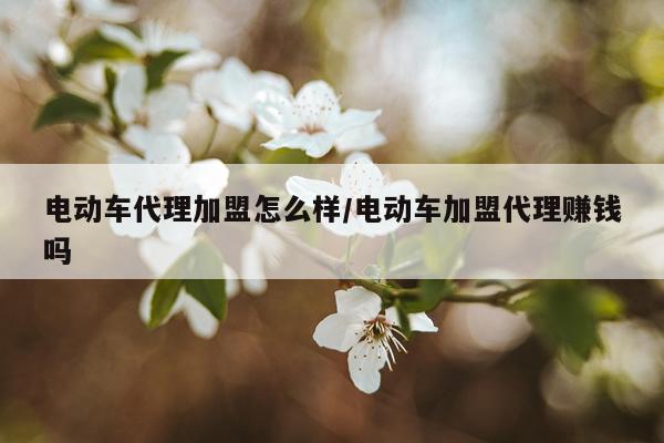 电动车代理加盟怎么样/电动车加盟代理赚钱吗