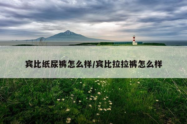 宾比纸尿裤怎么样/宾比拉拉裤怎么样