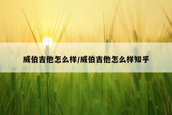 威伯吉他怎么样/威伯吉他怎么样知乎