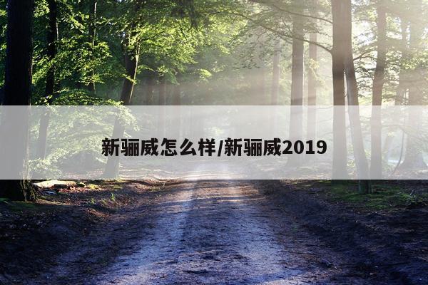 新骊威怎么样/新骊威2019