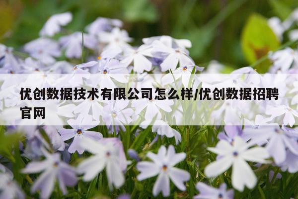 优创数据技术有限公司怎么样/优创数据招聘官网